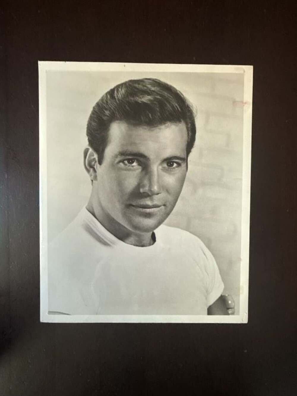 William Shatner Vintage 1950s MGM Publicity Photo Judgment in the Sun